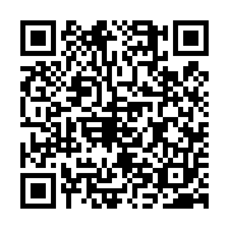 QR code for CHF4538