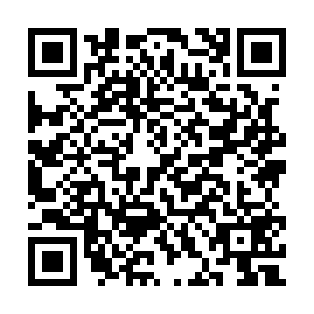 QR code for CHI1596