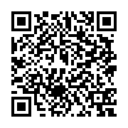 QR code for CHI4313