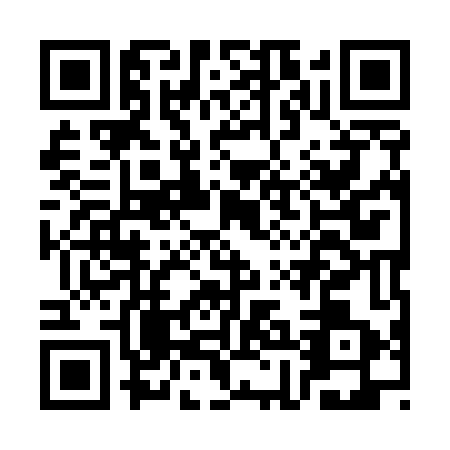 QR code for CHI5434