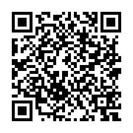 QR code for CHI9599