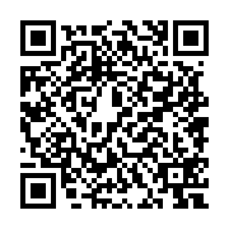 QR code for CHN5196