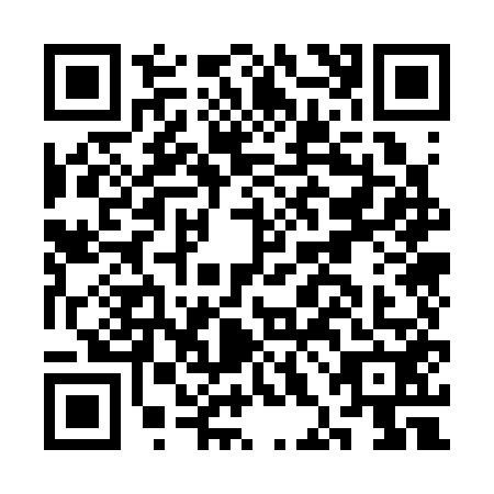 QR code for CHO3523