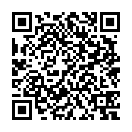 QR code for CHO4383
