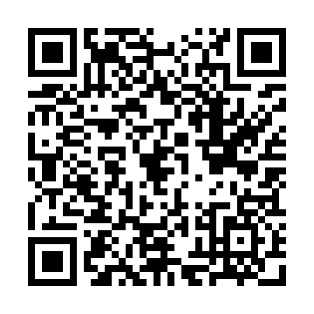 QR code for CHO9370