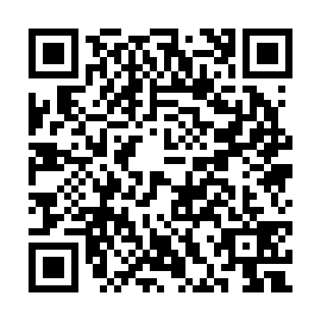 QR code for CHQ2397