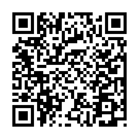 QR code for CHW9509