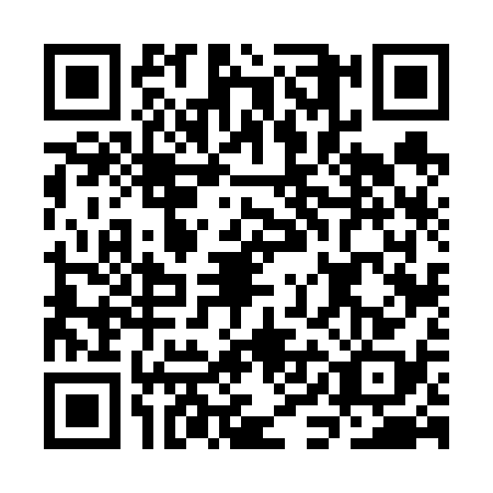 QR code for CIF6384