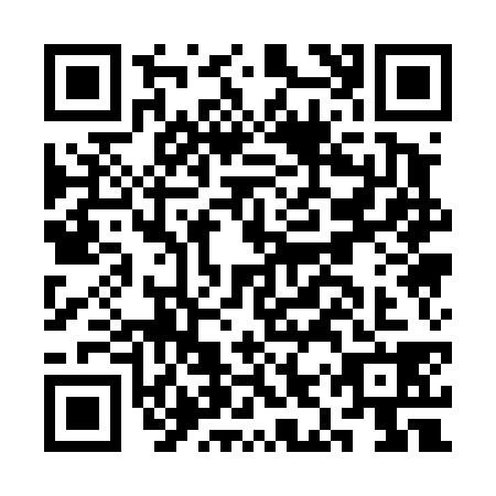 QR code for CIQ4385