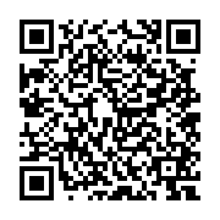 QR code for CIR0419