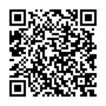QR code for CIT4399