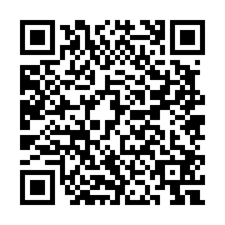 QR code for CKJ4029