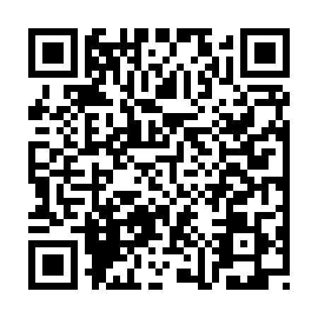 QR code for CMV8095
