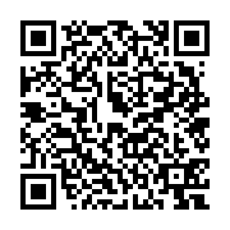 QR code for COG6313