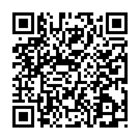 QR code for COH0379