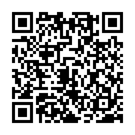 QR code for COI3329