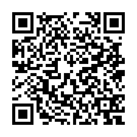 QR code for COQ0328