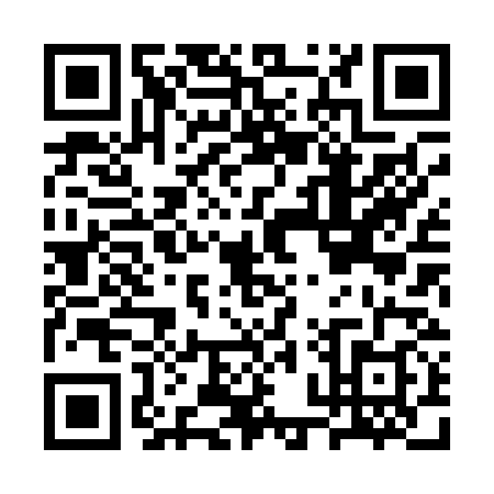 QR code for CPX0387