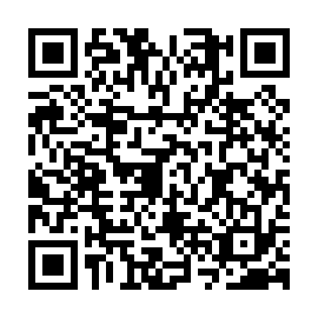 QR code for CVE0333