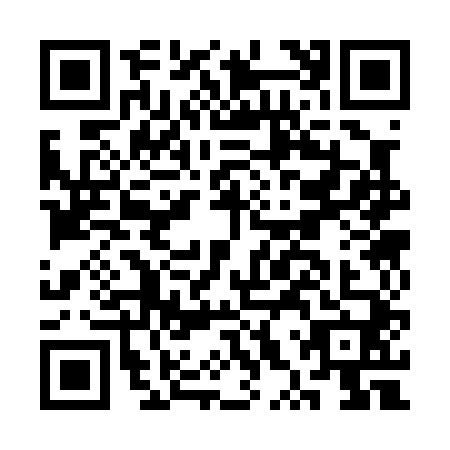 QR code for CXS0400