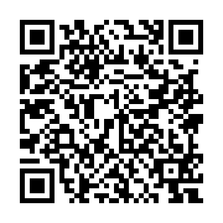 QR code for CZI1938