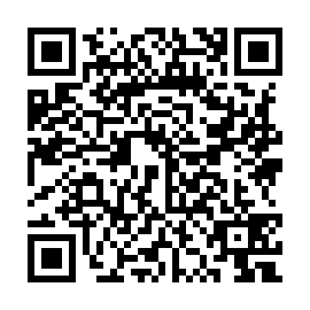 QR code for CZI9394
