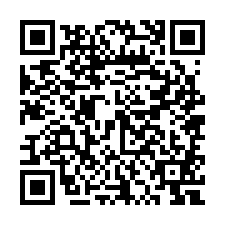 QR code for CZJ3816