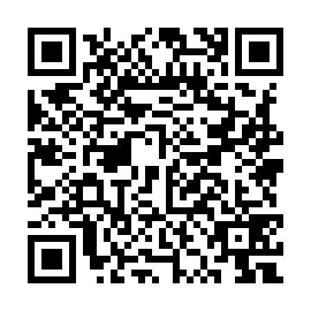 QR code for CZM9790