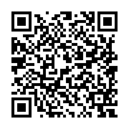 QR code for CZP9963