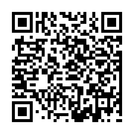 QR code for CZR8385