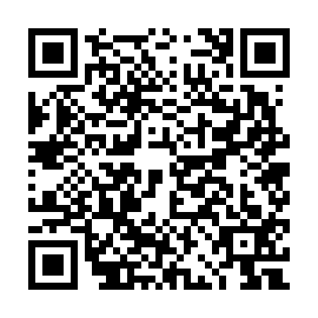 QR code for DBG6137