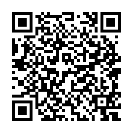 QR code for DBM2919