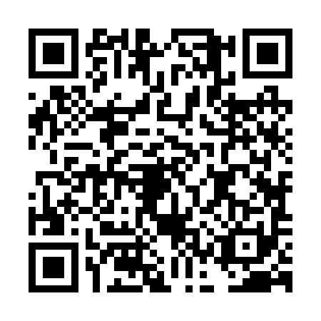 QR code for DCZ2919