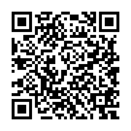 QR code for DDD8081