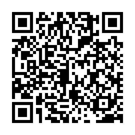 QR code for DDR3311