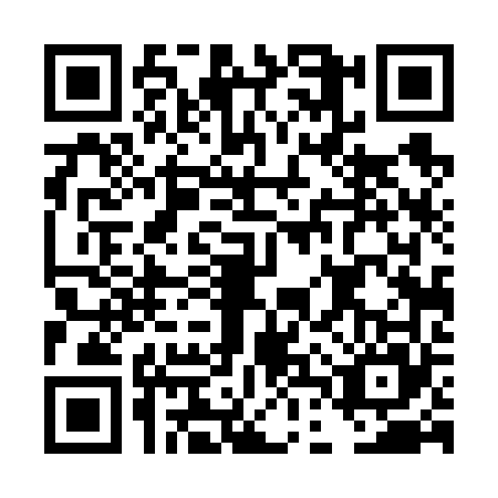 QR code for DDT6653