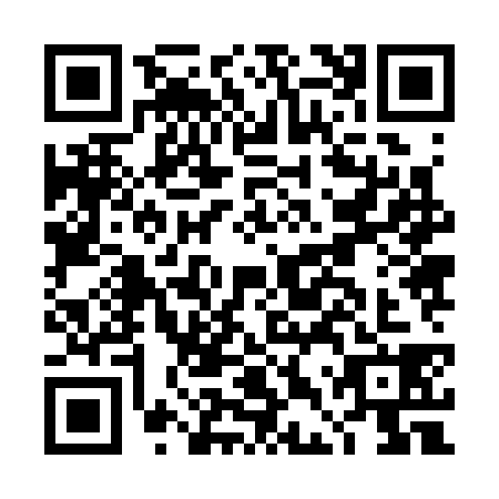 QR code for DDZ3384