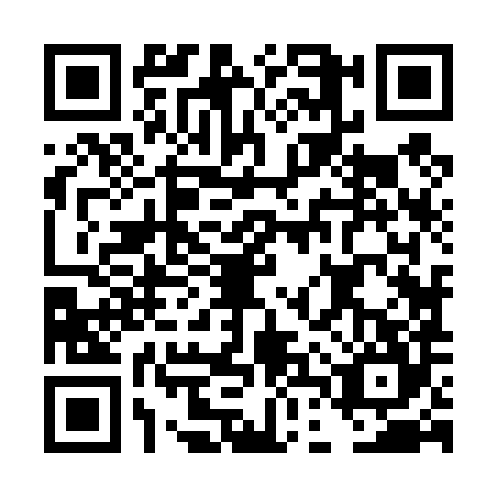 QR code for DDZ4847