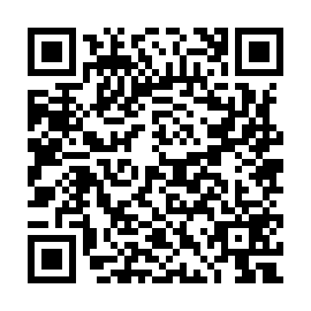 QR code for DDZ9597