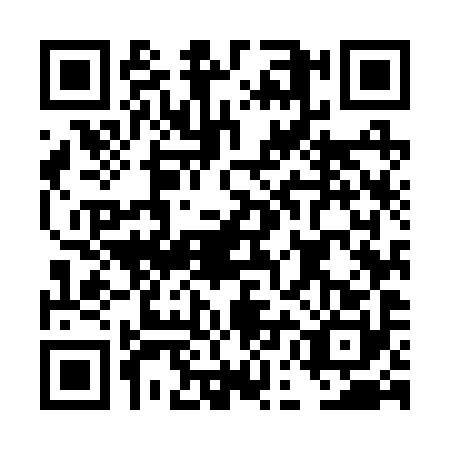 QR code for DEM2901