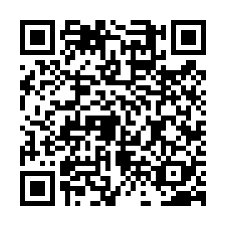 QR code for DFF4299