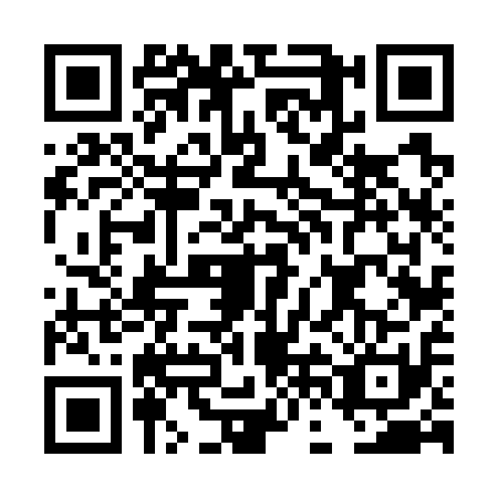 QR code for DFF7113