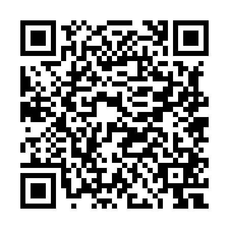 QR code for DFJ8411