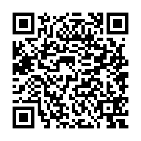 QR code for DFN1193