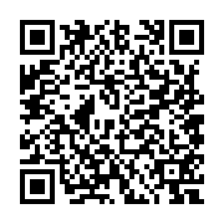 QR code for DFV9513