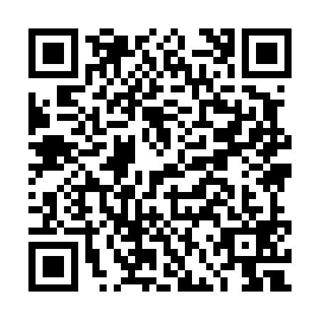 QR code for DFY4994