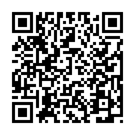 QR code for DGQ3594