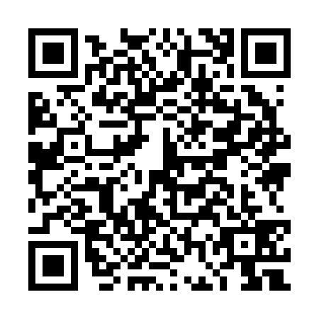 QR code for DGY2393