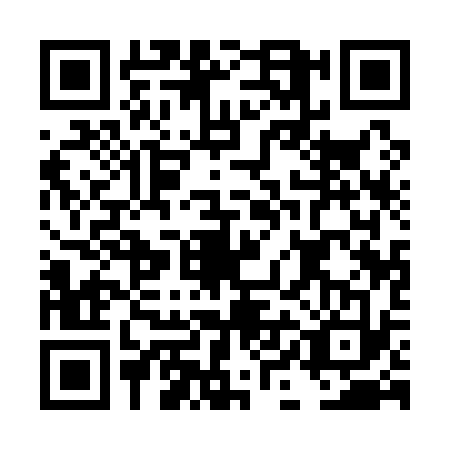 QR code for DIA1335