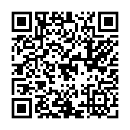 QR code for DIA2667